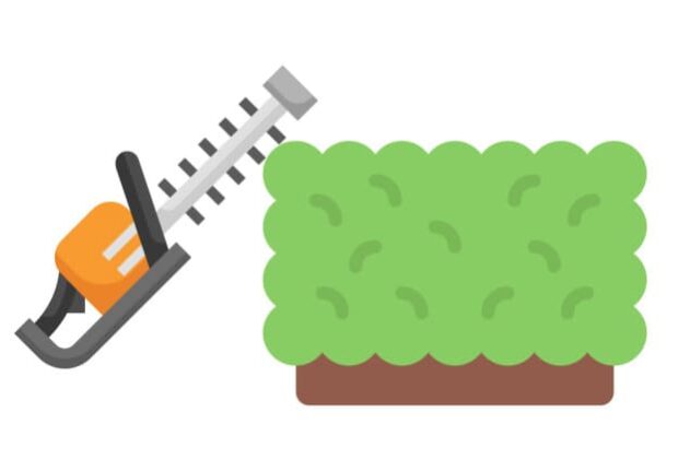 Hecke schneiden - Wann ist es erlaubt