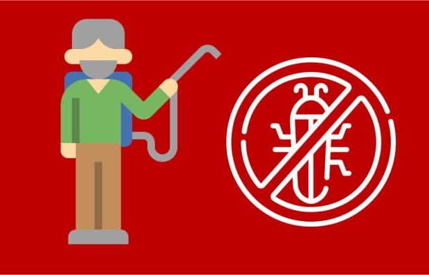 Kammerjäger: Was Sie wissen sollten