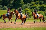 Richtiges Training für Pferd und Reiter